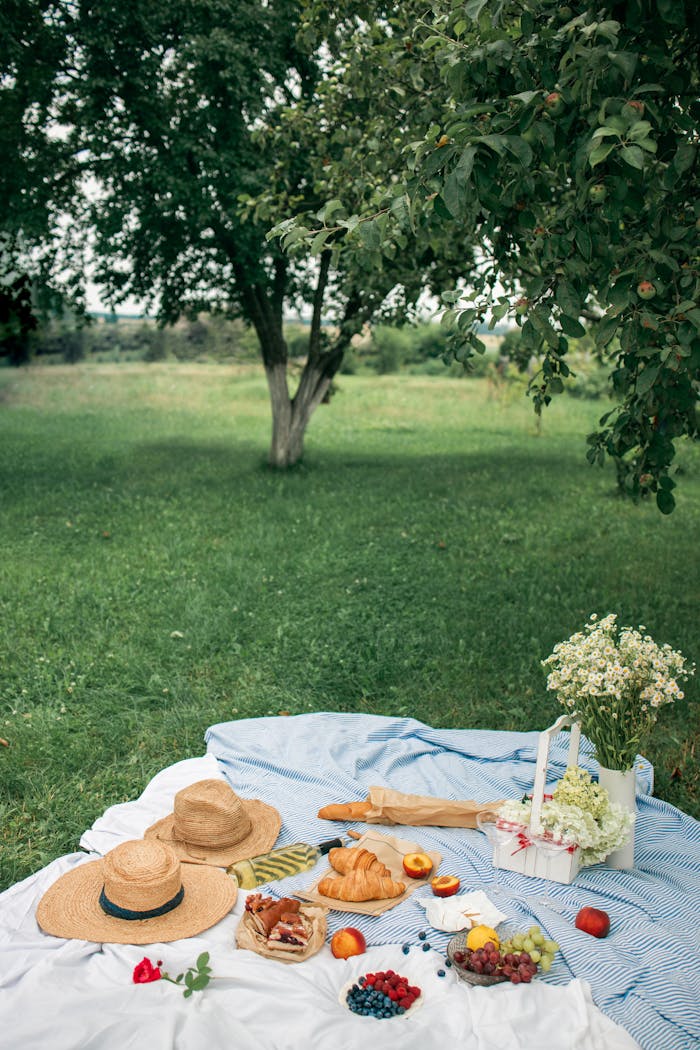 Idyllic summer picnic scene with fresh fruits, croissants, and straw hats on a picnic blanket under a tree.